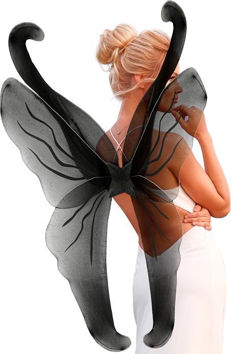 Immagine prodotto Widmann Scintillio dell'ala