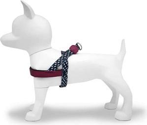 Produktbild MORSO Norwegian Hondentuig Gerecycled Power Flow Zwart (Hund, Allgemein)