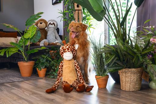 Image du produit Beeztees Hundespielzeug Giraffe XL (Jouet en peluche chien)