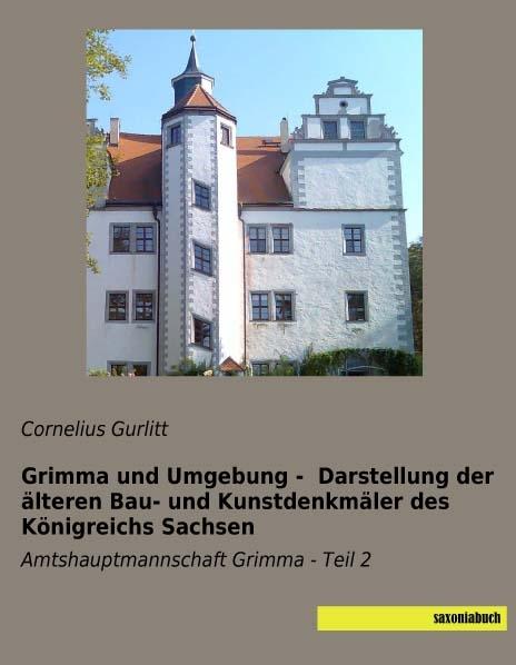 Produktbild Grimma und Umgebung - Darstellung der älteren Bau- und Kunstdenkmäler des Königreichs Sachsen (Deutsch, Cornelius Gurlitt, 2016)
