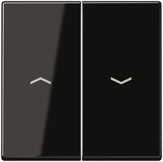 Actual product image JUNG Rocker f. shutter A 595 P SW switch/button black