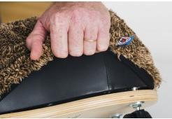 Actual product image Wheely Bug Lion