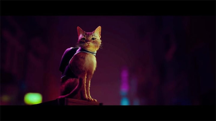 Produktbild BlueTwelve Studio Stray (PS4, DE)