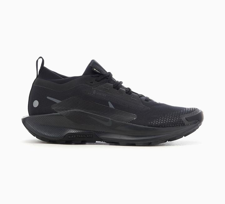 Image du produit Nike Pegasus Trail 5 (42)