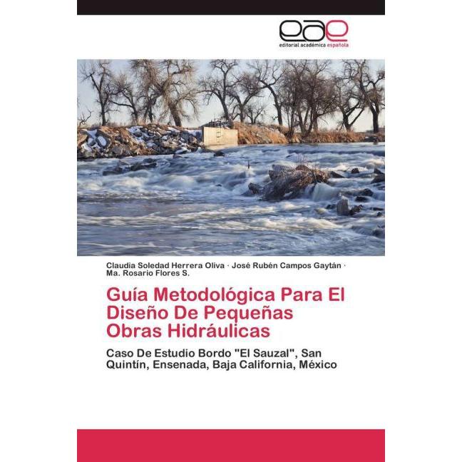 Guía Metodológica Para El Diseño De Pequeñas Obras Hidráulicas, Ratgeber von José Rubén Campos Gaytán, Ma. Rosario Flore...