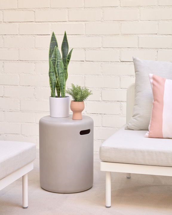 Immagine prodotto Kave Home Sansevieria (55 cm)