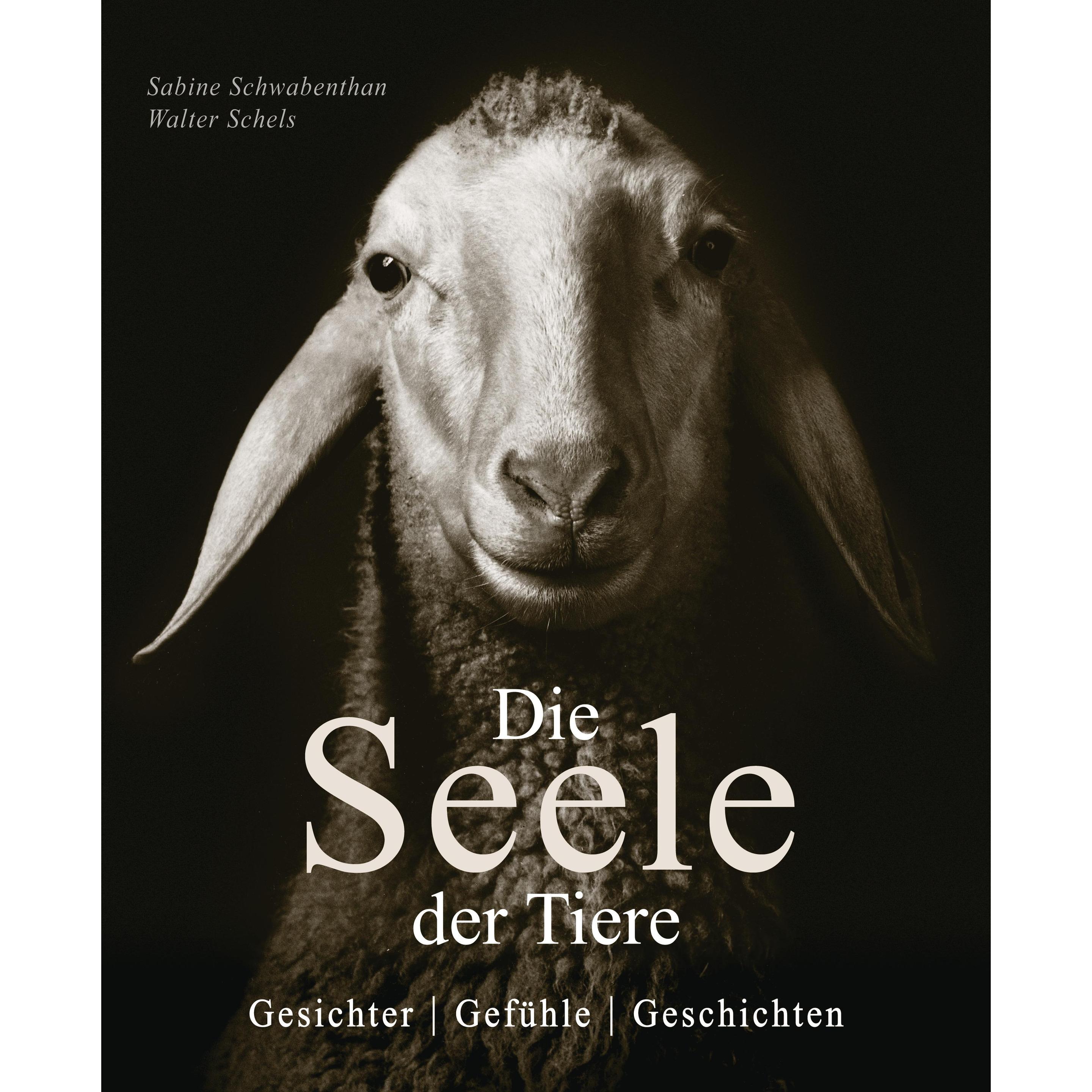 Die Seele der Tiere. Gesichter. Gefühle. Geschichten, Ratgeber von Sabine Remy-Schwabenthan