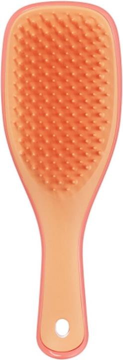 Immagine prodotto Tangle Teezer Detangente umido mini