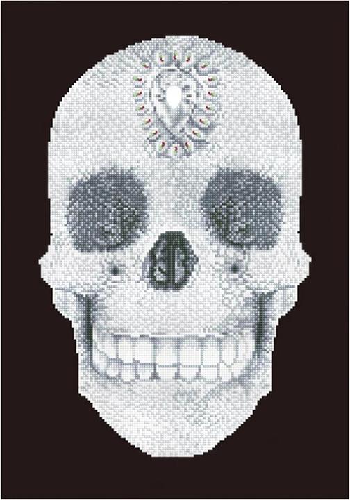 Actual product image Diamond Dotz Diamond Painting Crystal Skull