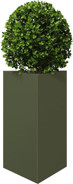 Produktbild vidaXL Pflanzkübel