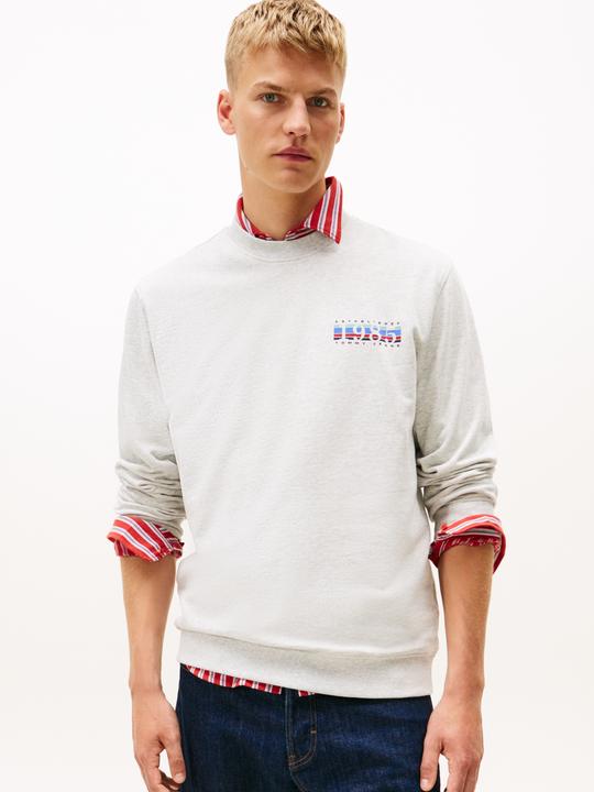 Image du produit Tommy Jeans Pull Sweatshirt TJM Reg Entry DNA Play Crew (L)