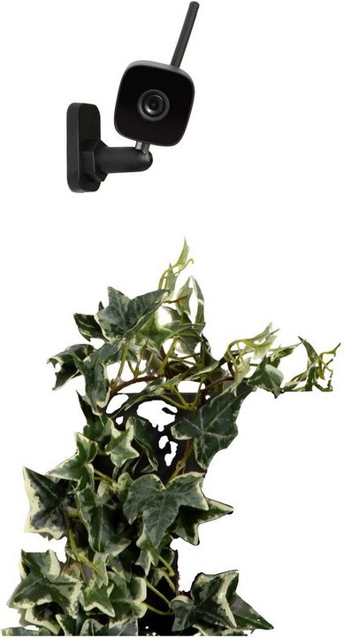 Productafbeelding Smartwares Buiten IP Camera Homewizard (1920 x 1080 Pixels)