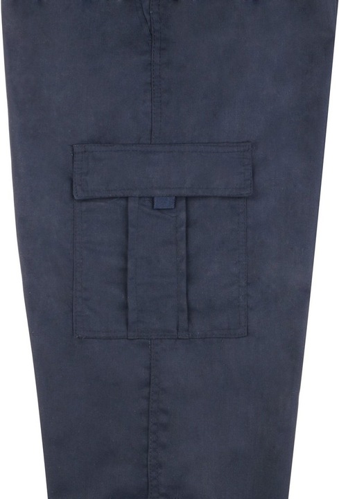 Actual product image Krisp Cargo Pants With Multiple Pockets (M)
