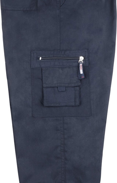 Actual product image Krisp Cargo Pants With Multiple Pockets (M)