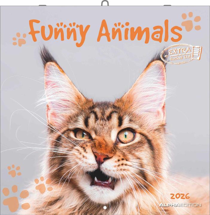 Produktbild Alpha Edition Funny Animals 2026