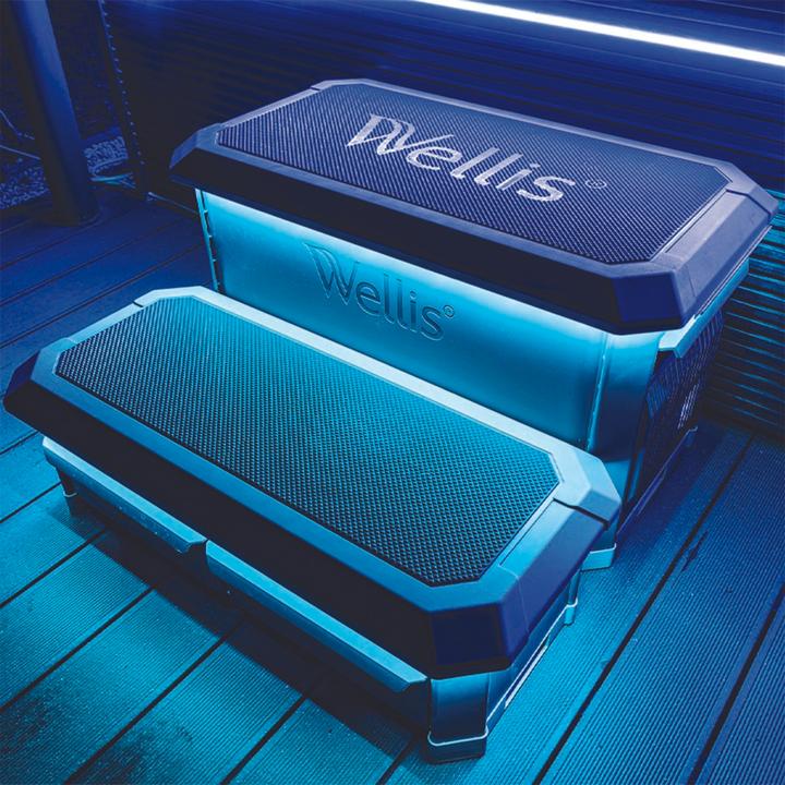 Actual product image Wellis Staircase system SMART-IN