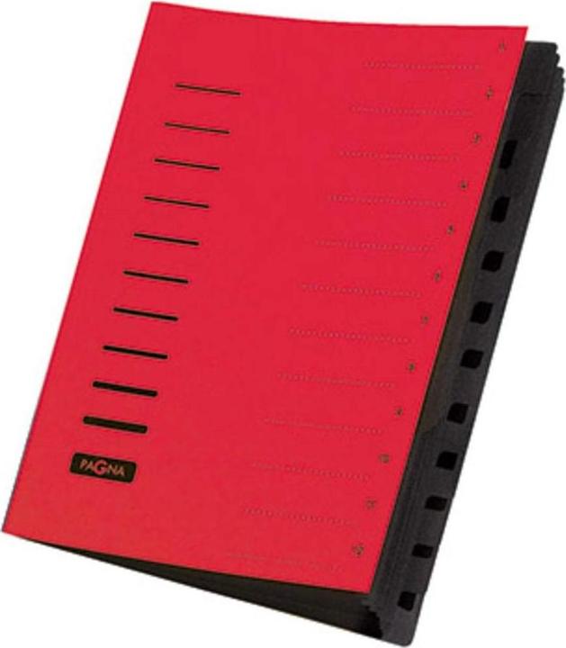 Actual product image Pagna Folder 12 pieces (A4, 1 x)