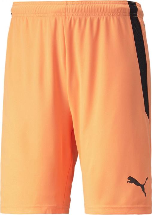 Actual product image Puma teamLIGA Shorts-704924 (60, 3XL)