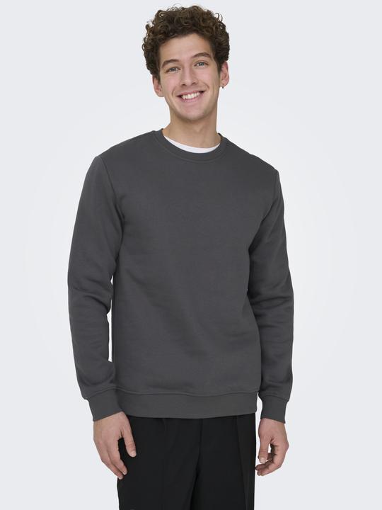 Produktbild Only & Sons Onsconnor Reg Crew Neck Sweat Noos (M)