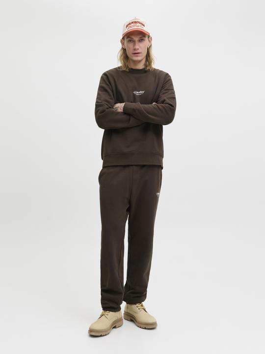 Actual product image Jack & Jones Jjesoho Sweat Crew Neck Noos (M)