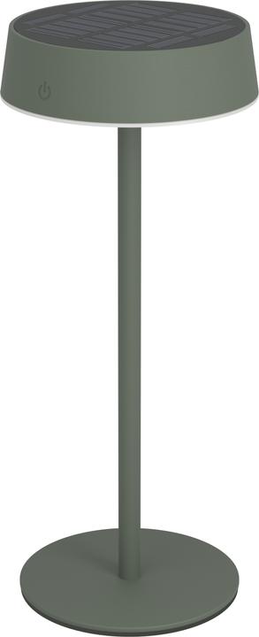 Vert