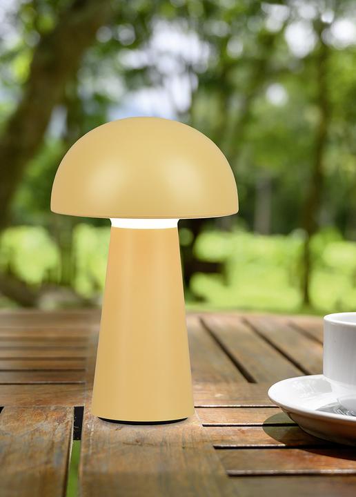 Actual product image Trio Lennon (180 lm)