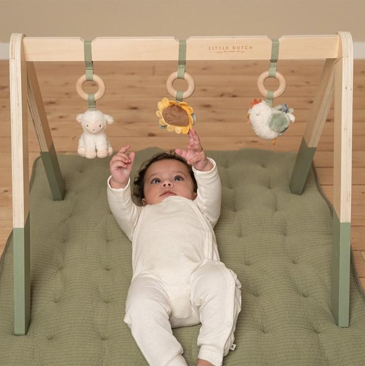 Immagine prodotto Little Dutch Gioca al trapezio