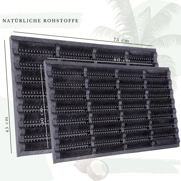 Immagine prodotto Hanse Home Brushes Mat (45 x 75 cm)