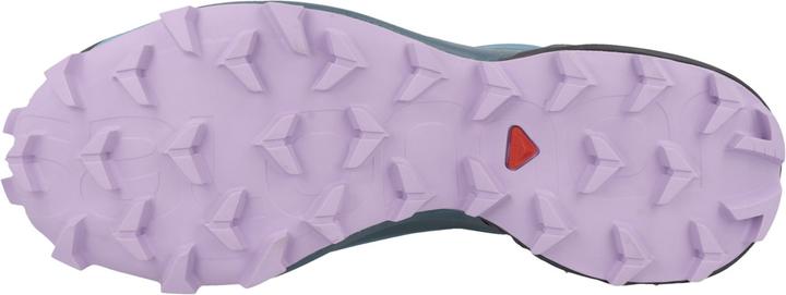 Actual product image Salomon Speedcross (38 2/3)