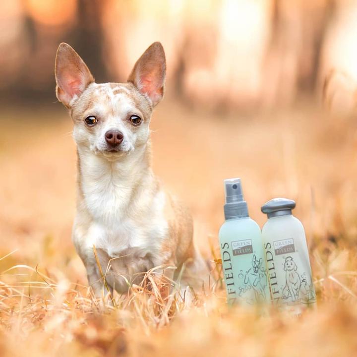 Image du produit Greenfields Shampooing pour animaux de compagnie (Chien, 250 ml)