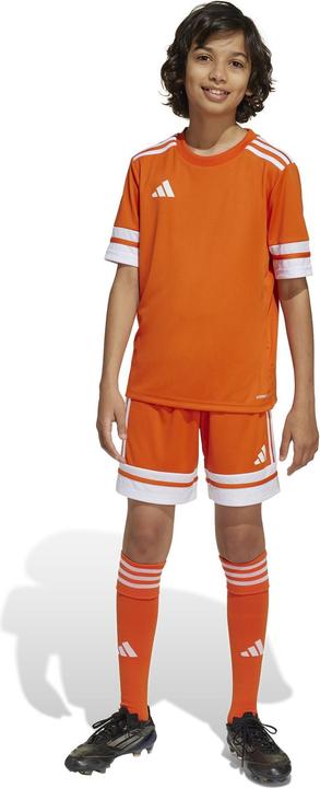 Produktbild adidas Squadra 25 Short Kids (140)