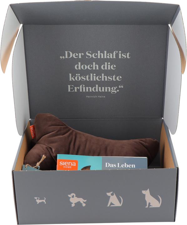 Image du produit Siena Home Oreiller (45 x 45 cm)