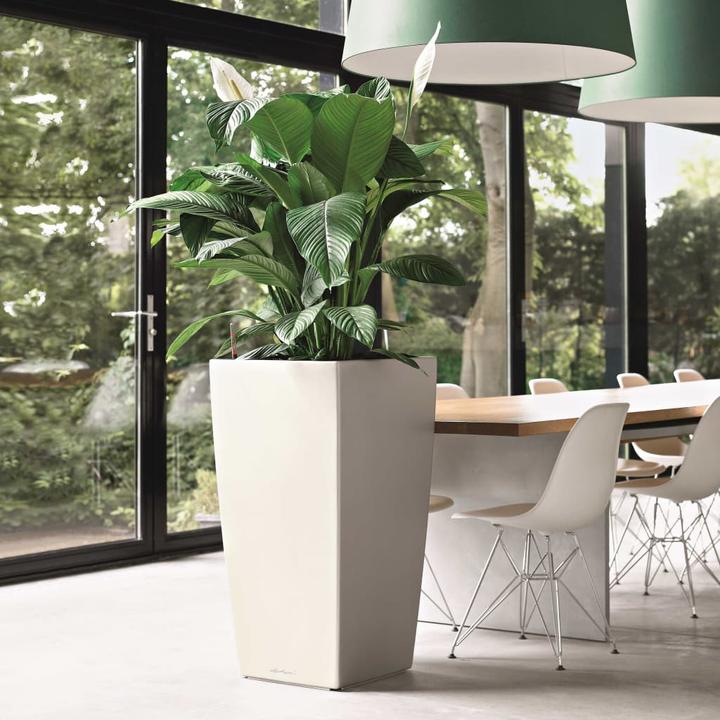 Produktbild Lechuza Cubico 30 (29.50 x 29.50 x 56.50 cm)