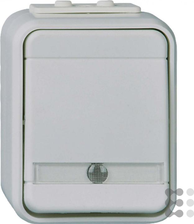 Gris basalte, Gris clair