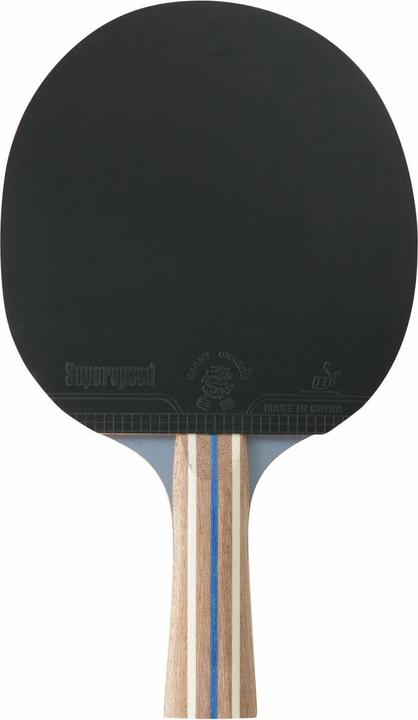 Image du produit Hudora Tournament