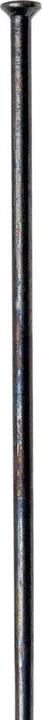 Image du produit DT Swiss Champion Race Straightpull
