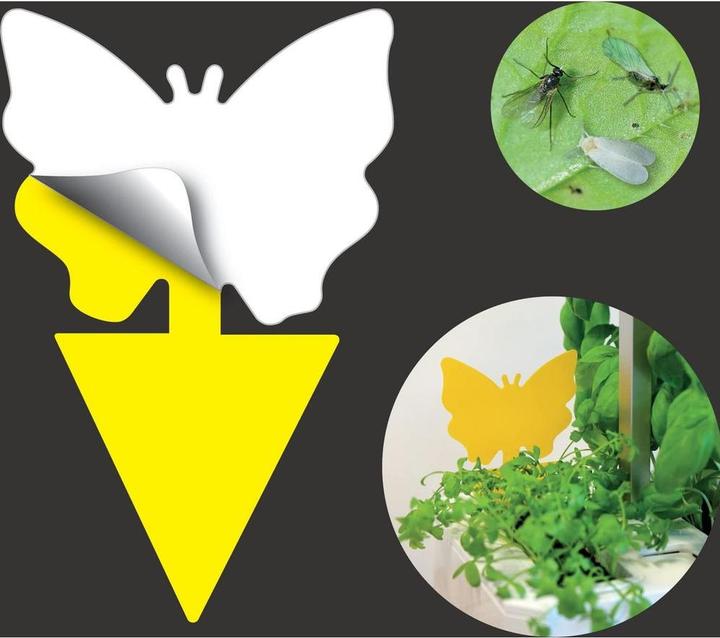 Actual product image Véritable 8 sticky traps