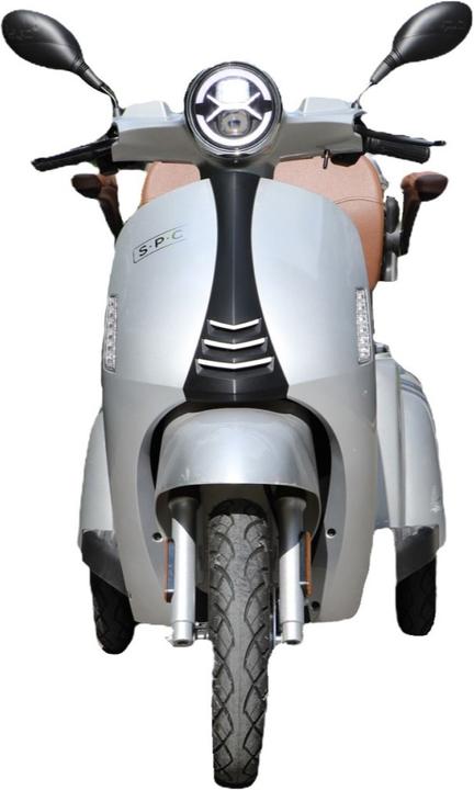 Actual product image SPC Aurea (20 km/h, 800 W)