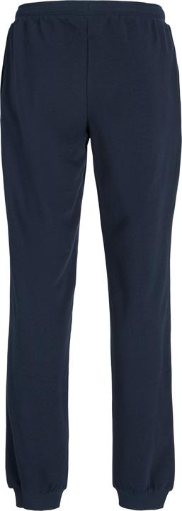 Actual product image Jack & Jones JPSTELOGO SWEATPANTS 2COL 25/26 NOOS JNR (128)