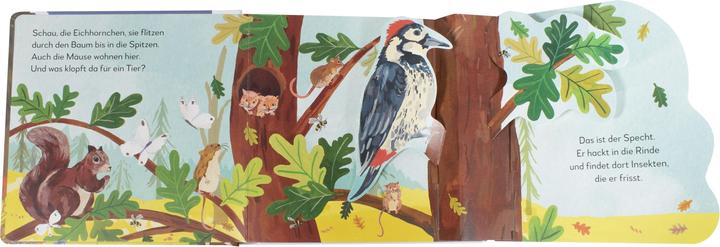 Image du produit Mon livre pop-up pour s'émerveiller. Qui vit dans la forêt? (Allemand)