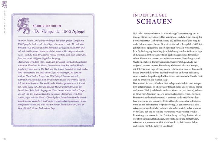 Actual product image Shaolin - Das Geheimnis der inneren Stärke (German, Dr. Thomas Sppäth, Shi Yan Bao, 2017)