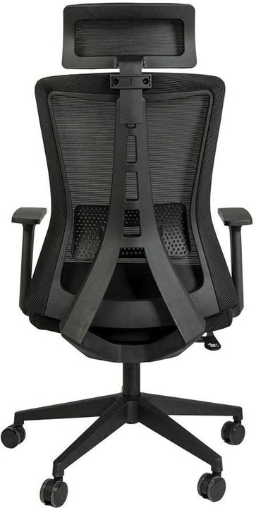 Immagine prodotto Contini ErgoFlex (47 - 53 cm)