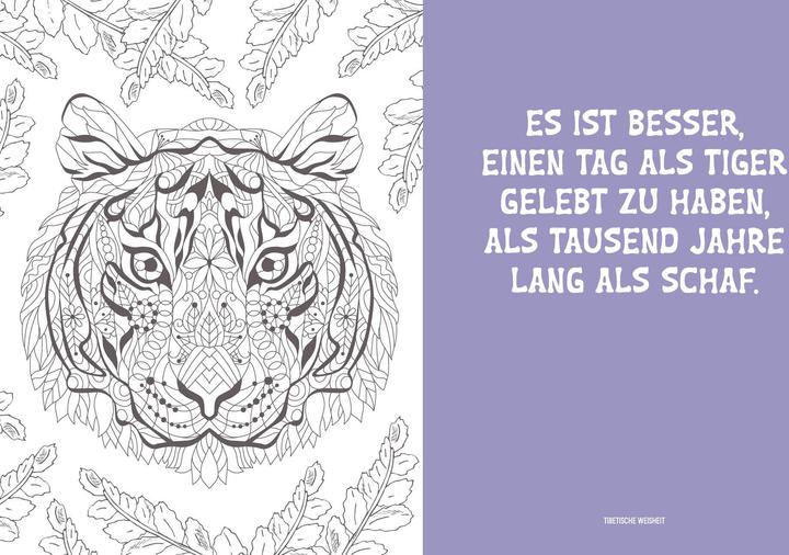 Produktbild Colorful Mandala – Mandala – Dschungeltiere