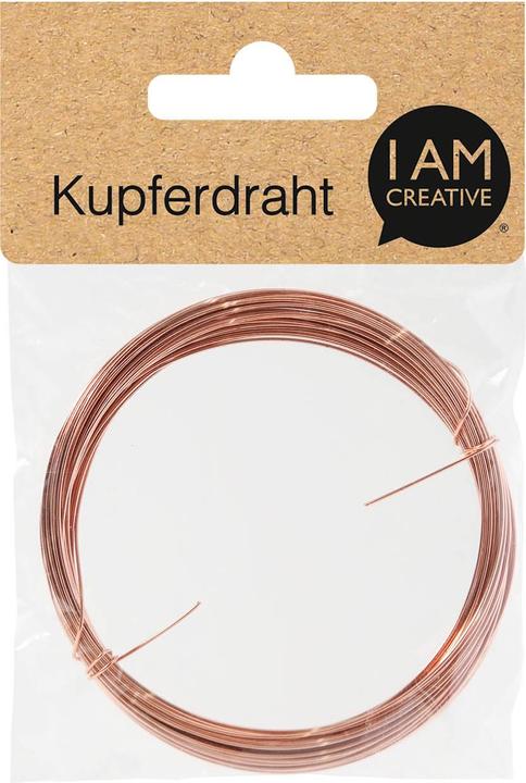 Actual product image I Am Creative copper wire (10 m)