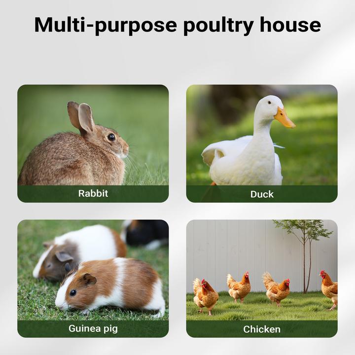 Actual product image Wiltec Rabbit hutch 1175x410x1000mm rabbit hutch rabbit cage rabbit cage wood