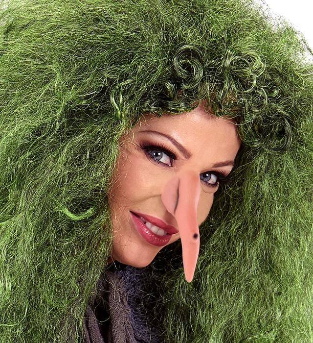 Image du produit Widmann Nez de sorcière