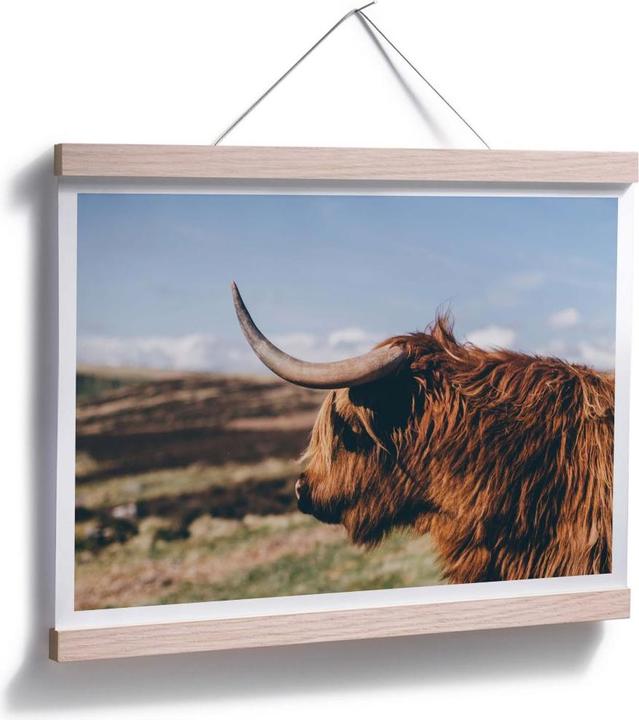 Image du produit Trenddeko Vache Highland 02 (50 x 40 cm)
