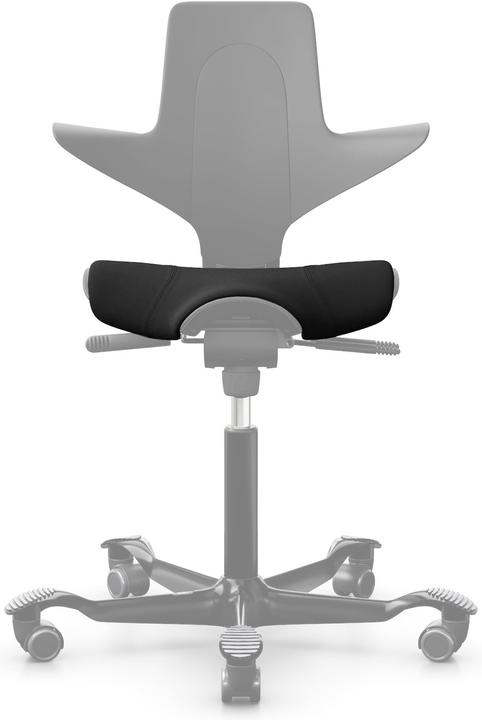 Produktbild HAG Capisco Sitzbezug