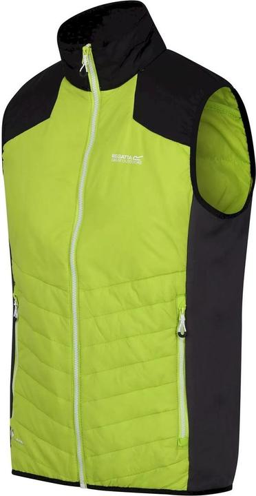 Actual product image Regatta Halton Vi Vest Light (S)