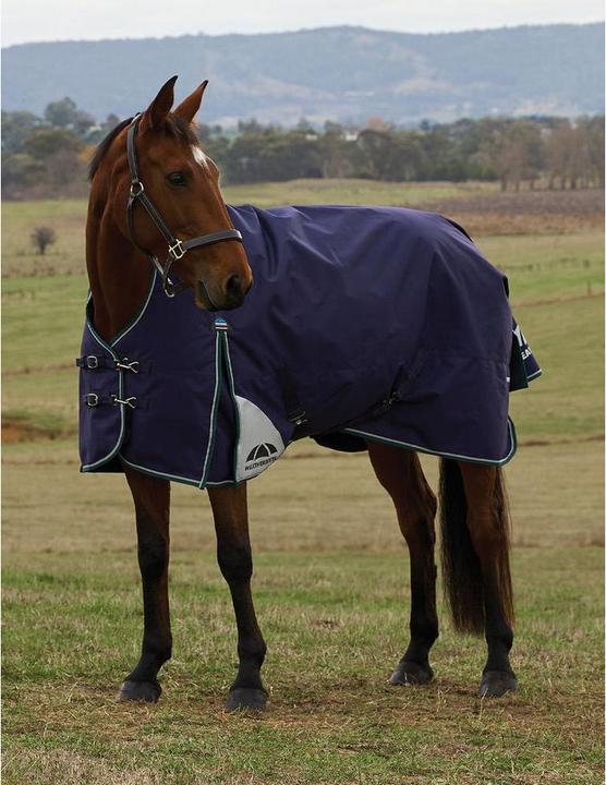 Produktbild Weatherbeeta Comfitec Plus Dynamic 100g (160 cm)